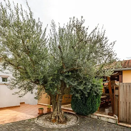 Sascha In بيت للعطل