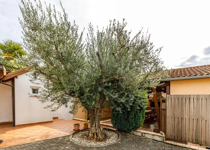 Sascha In Σπίτι διακοπών