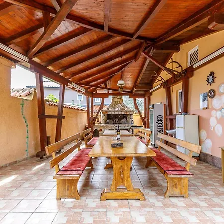 Sascha In Tatil Evi